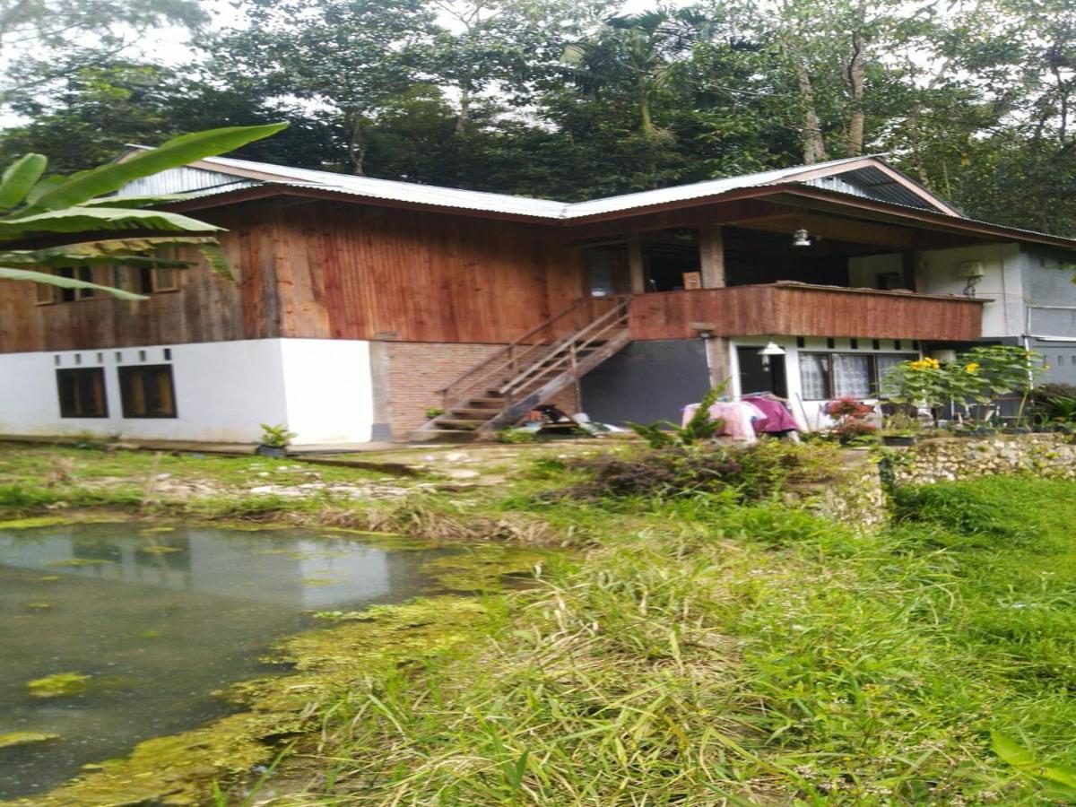 Wisma Papa Tia Toraja Tana Toraja Eksteriør billede